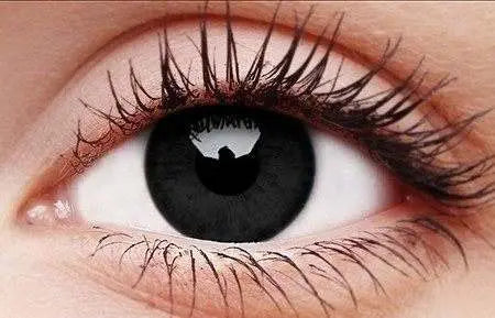  Buy ColourVUE 1 Day Costume Lenses - Black Out and professional face & body paint for beginners in Australia. Where to buy face paint near me. 